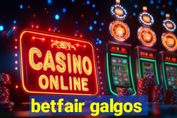 betfair galgos